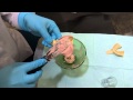 Techniques for Using Alginate