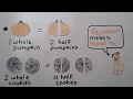 Understanding Fractions and Equivalence