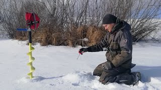 видео