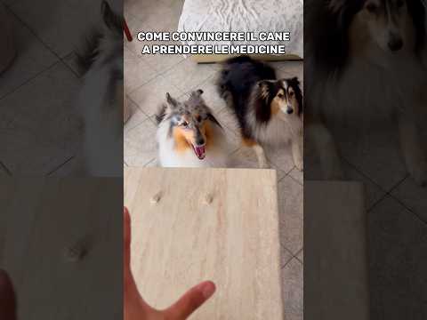Lo so, sentire chiamare Mery “quella sveglia” via fa un certo effetto😂 Vedrete nel prossimo video😅