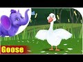 Understanding Narrator's Habitats and Actions