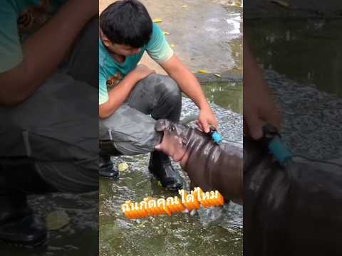 ?? ฉันกัดคุณได้ไหม ? #youtube #youtubeshorts #shortvideo #shorts