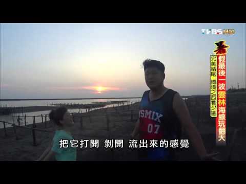 【雲林】完美結尾 國境之西看夕陽 食尚玩家 就要醬玩 20150820 (9/9)