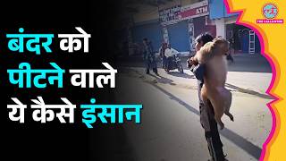 Haryana के Palwal में पकड़ा गया 51 हज़ार का इनामी बंदर, लोग चांटे मारने लगे