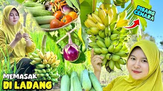 Petik buah dan sayuran | Memasak di ladang