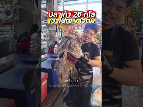 เก๋ายักษ์ 26 โลร้านอาหารจองทันที #ปปลาชุม #ตลาดเตาปูน