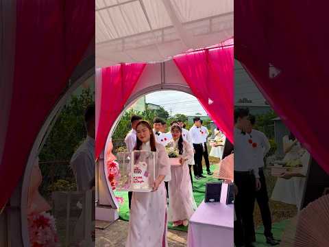 Ngộ Ngộ muốn ăn bánh kem của cô dâu/ Tín ngộ tv #shortvideo