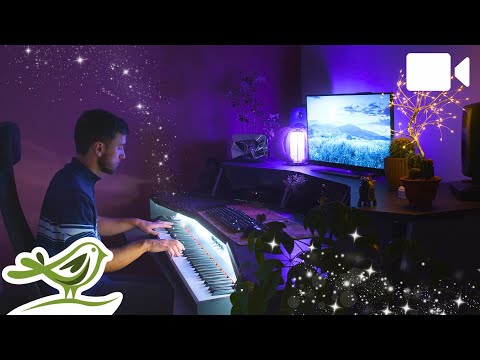 Peder B. Helland - Calm Lights (Piano Improvisation) | Soothing Sessions