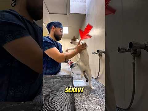 Sie Dachten,Sie Hätte Angst Vor Wasser Doch Die Wahrheit War Eine Ganz Andere.