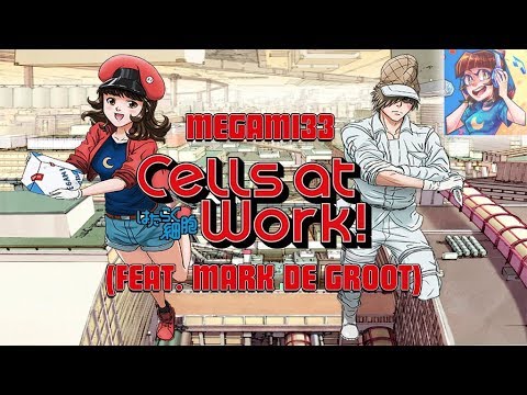 Cells At Work Op Lyrics Jobs Ecityworks