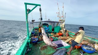 Ohh❗First Day Unbelievable Catches 💢 Full video Capture 🤩 Indian Fishing Adventure 