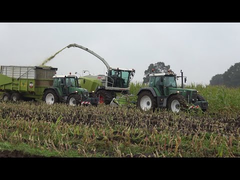 Mais hakselen op een nat veld - Loonbedrijf Fa Fokkert met Claas Jaguar 940 en Fendt trekkers (2024)