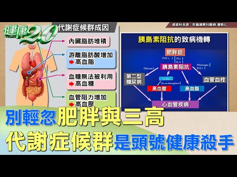 別輕忽肥胖與三高 代謝症候群是頭號健康殺手 健康2.0