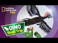 Dinosaur Features and Characteristics