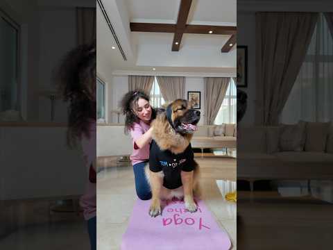 شفتو فيديو عملت بيت لقردتي وردة 🥹🙊