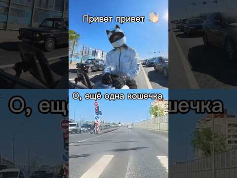 Две кошки на одном перекрестке #moto #мотодевушка #insta360 #bikelife #bikers #insta360x3 #bikergirl