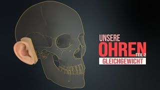 Das menschliche Ohr - Teil 2 - Gleichgewicht (Animation)