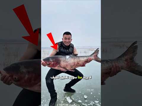 اصطاد سمكة تبلغ قيمتها مئات الدولارات 🧐 #shorts #shortvideo #shortviral #سمكة #صيد