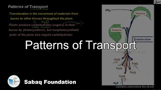 Patterns of Transport
