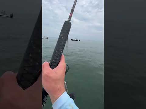 How to catch a GIANT Redfish INSANELY FAST Pt. 1! 🤯 #Short #Fishing