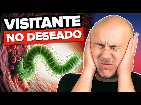 TRATAMIENTO EFECTIVO contra EL HELICOBACTER PYLORI | PASO a PASO