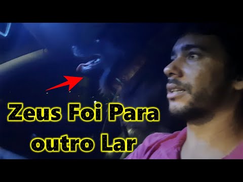 E LÁ SE FOI O ZEUS, AGORA ELE TEM UMA MEGA ESPAÇO PARA FICAR