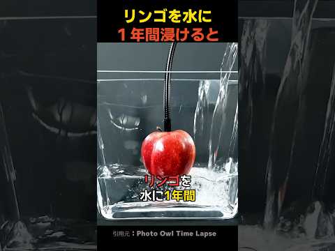 リンゴを水に1年間浸けると