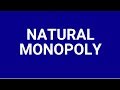 Natural Monopoly Concepts and Regulations