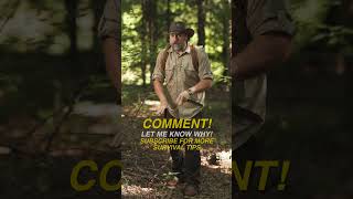Which Is Deadlier In The Wilderness? #survival #camping #bushcraft