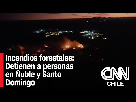 Incendios forestales: Detienen a personas en Ñuble y Santo Domingo