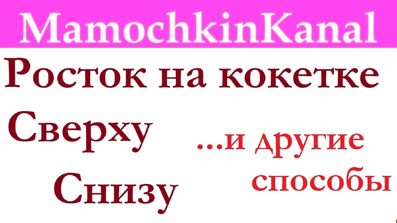 Росток на кокетке виды вязания ростка сверху, снизу и другие вязание крючком