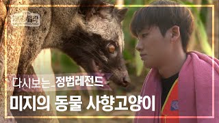 [정법레전드🏆] 어딘가에 단단히 묶여있는 녀석...😥 [정글의법칙 | SBS 150508방송]
