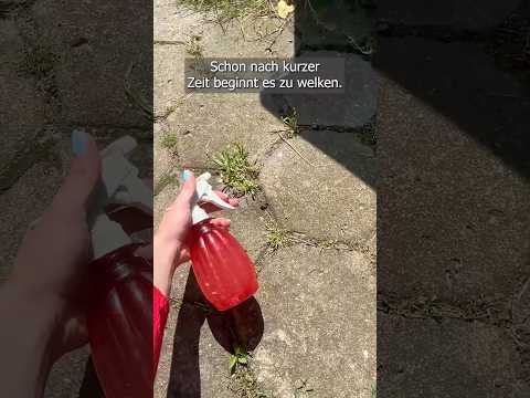 Das verbrennt Unkraut bis in die Wurzel – mein stärkster Trick ohne Chemie