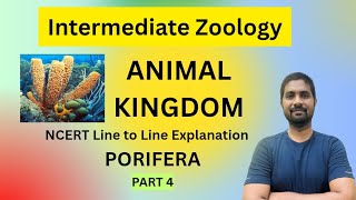 Animal Kingdom || Porifera || NCERT Explanation || Part 4
