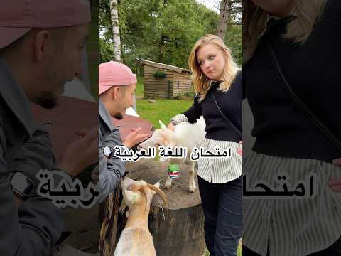 امتحان اللغة العربية ج2 📚😂#اكسبلور #fyp #هولندا