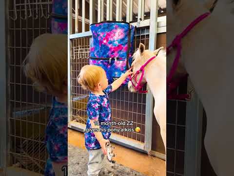 Horse and baby #prank #funny #horse #funnyprank #fyp