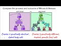Genetics and Cell Division Concepts