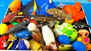 Sea Animal Surprise Eggs! 🥚 Toy Learning Fun for Kids