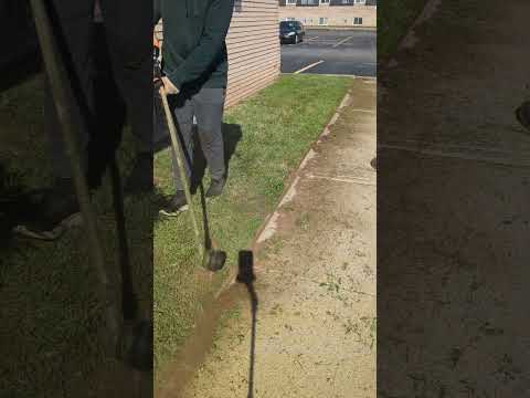 Like MAGIC! ? #lawn #edging #shorts #lawncare