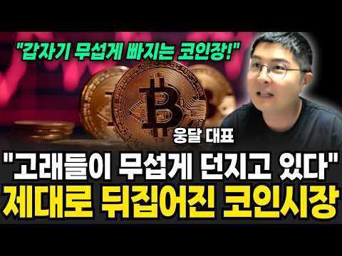 "고래들이 무섭게 던지고 있다", 제대로 뒤집어진 코인시장 (웅달 / 2부)