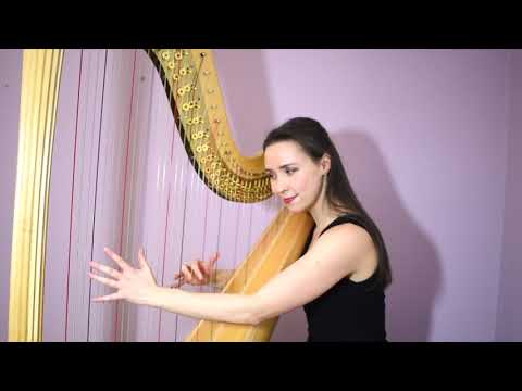 Can You Feel The Love