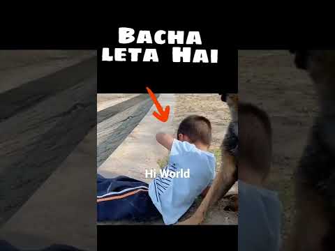 बुद्धिमान कुत्ता Part - 3 😭😭 Moral story hindi | Short Motivational Stories | Hindi Kahaniya #shorts
