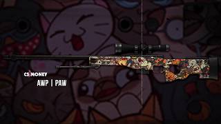 AWP PAW Gameplay