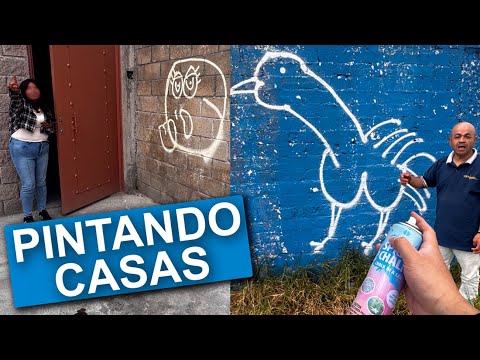 Grafiteando Casas de Desconocidos (BROMA)