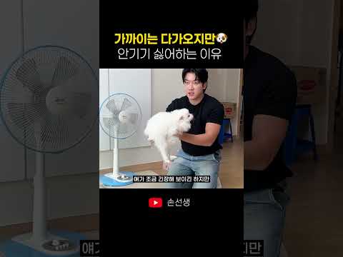 강아지가 가까이 오지만 안기기는 싫어하는 이유