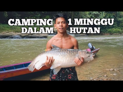 Camping Fishing 1 Minggu Hujan Deras Bermalam Di Pinggir Sungai kanyau Mencari Ikan Masak Dan Makan