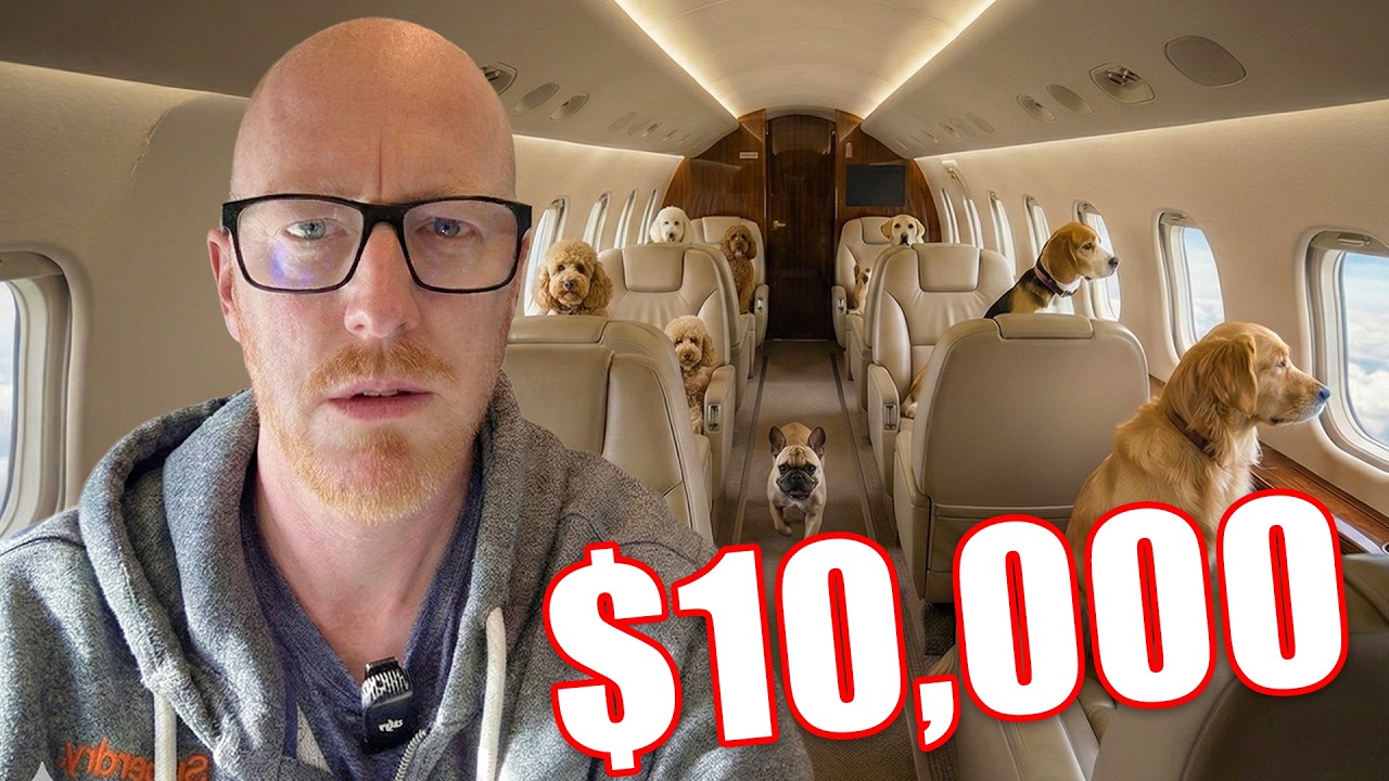 I Flew on a Private Jet Airline for DOGS!