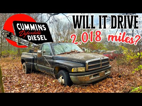 Father & Son buy 2 DODGE TRUCKS and attempt to DRIVE them 2,018 miles home!