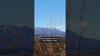 Day 2: Steak on The Desert Road (NZ Road Trip)