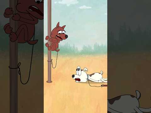 Dogs for no reason! 🤣🤣 (Animation memes) #shorts #memes